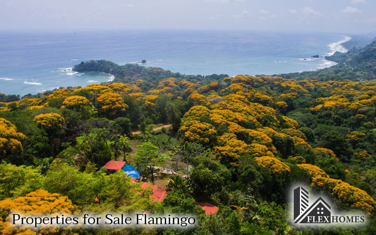 Properties for Sale Flamingo